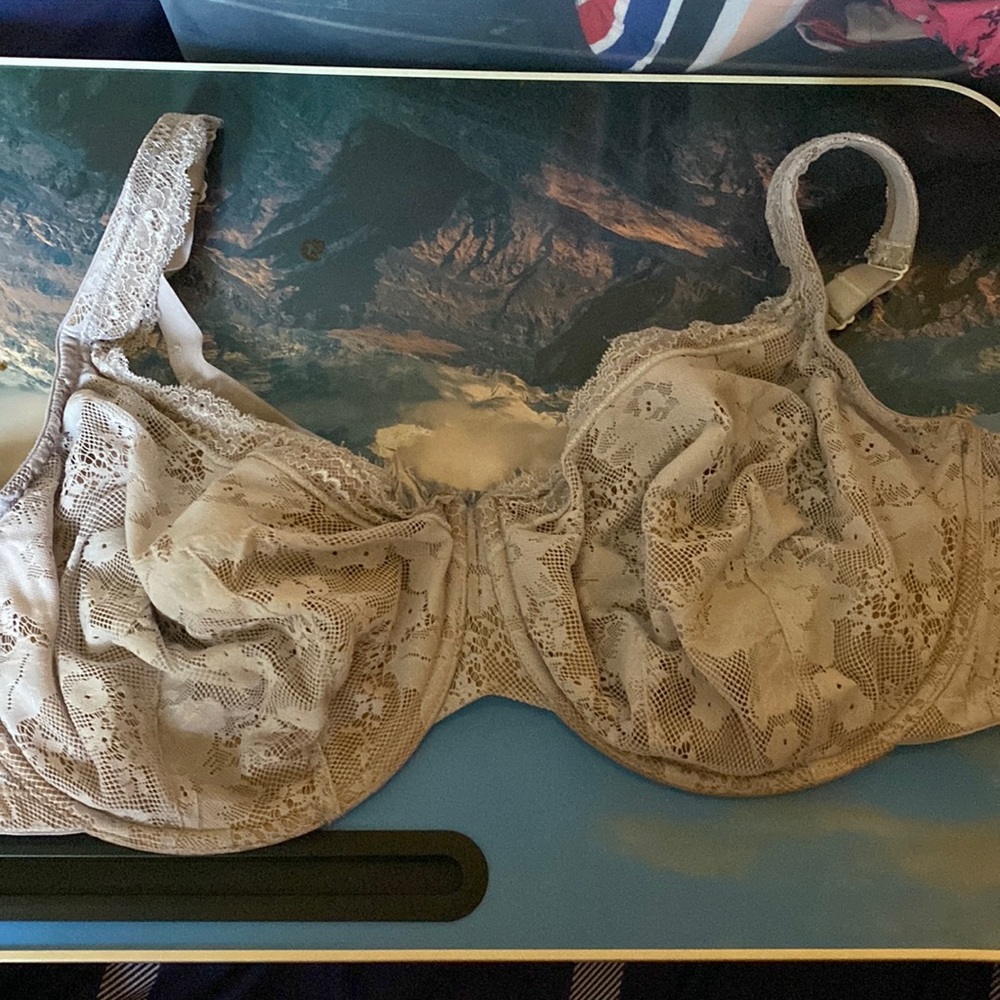 GUC cacique bra 46DDD